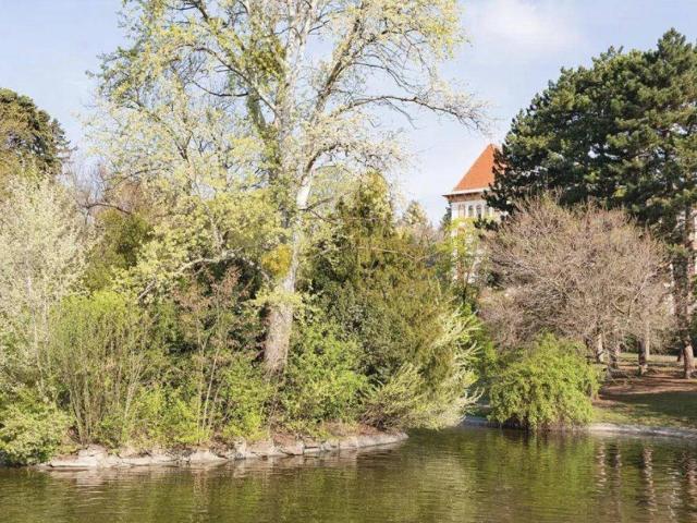 Sanierungsbedürftige Wohnung mit Balkon & Garage in absoluter Ruhelage, zwischen Türkenschanzpark und Pötzleinsdorfer Schlosspark