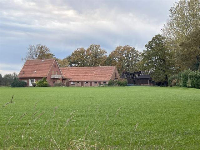 Sanierungsbedürftiger Resthof in idyllischer Alleinlage von Osterwald