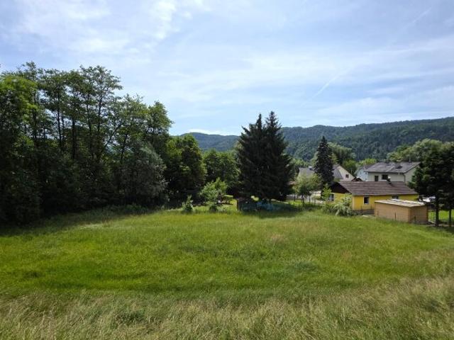 Sanierungsbedürftiges Haus mit Traumgarten & Fischteich – Randlage Ebenthal