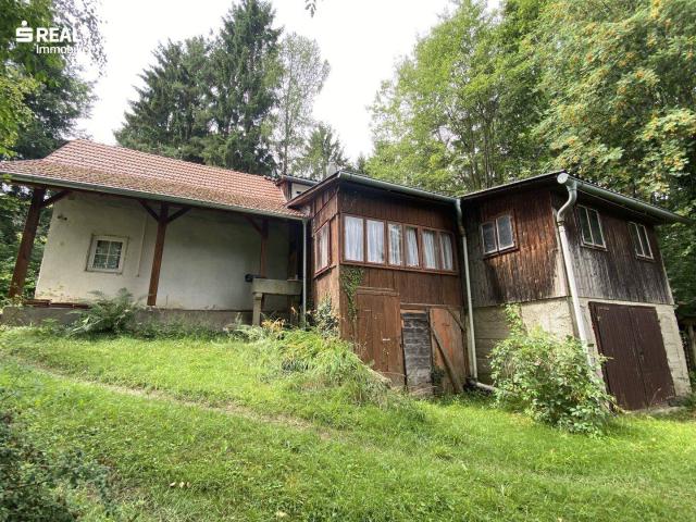 Sanierungsobjekt mit großem Grundstück