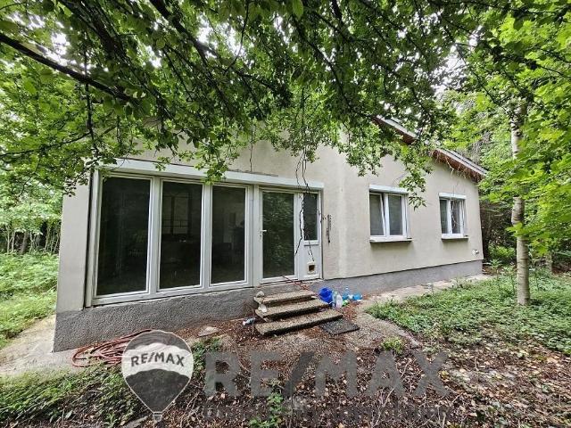 SANIERUNGSPROJEKT MIT VIEL POTENZIAL | ca. 1.085 m² Grundstücksfläche | Ruhelage in Mitterndorf an der Fischa