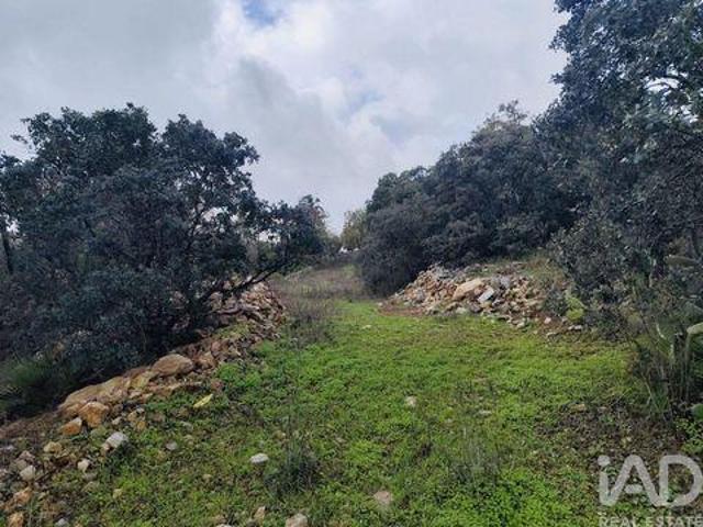 Sao Bras De Alportel Faro LS98434344