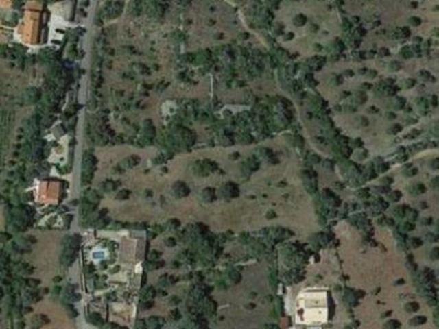 Sao Bras De Alportel Faro 104787592