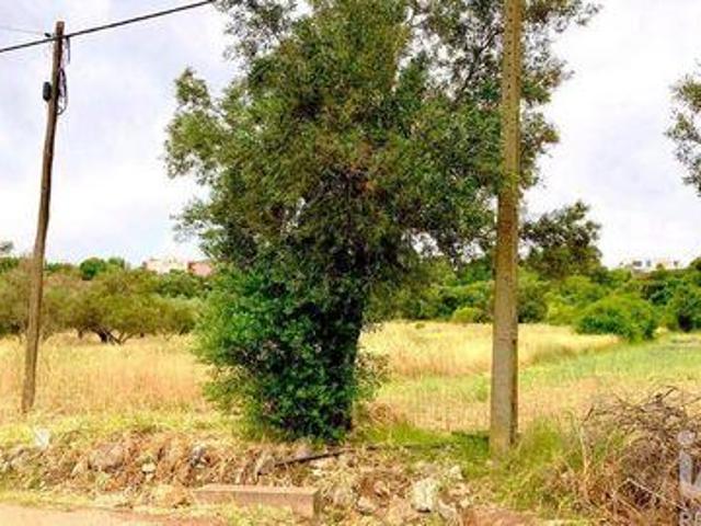 Sao Bras De Alportel Faro 99571488