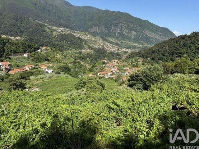 Sao Vicente Ilha Da Madeira 104892516