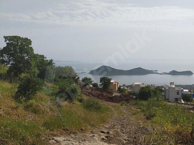 SAADET KORKMAZ'dan Denizköy'de Full Deniz Manzaralı Satılık 20 Dönüm Zeytinli Tarla