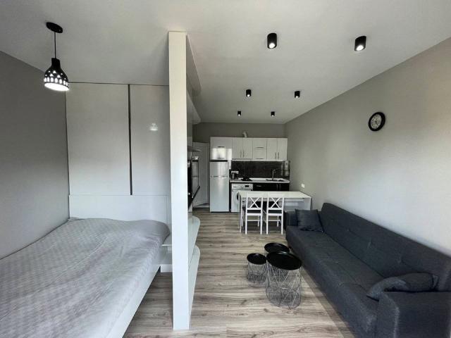 Saarrthi Skybay Studio 188 Sq. Ft. Apartment in Mahalunge Pune Listing ID: #9912