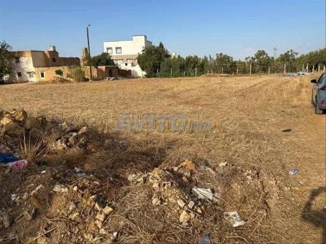 Sabaa Aiyoun Meknes