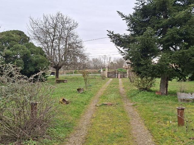 Sablons Vente Terrain 33
