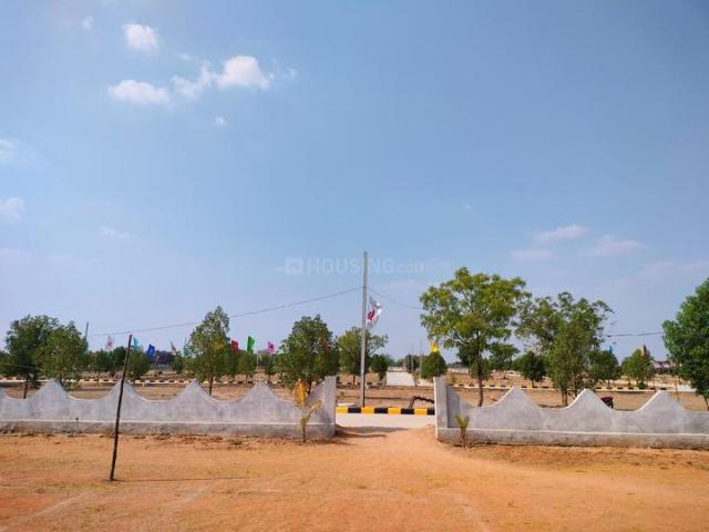 Saduvelly Residential Plot For Sale Yadadri Bhuvanagiri