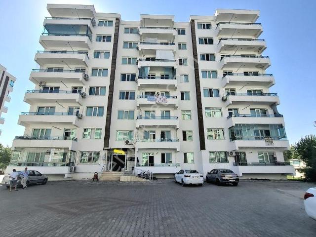 Sadece7günlük bufiyata Şatışta newrozparkcivarı 4 Yaş 3+1