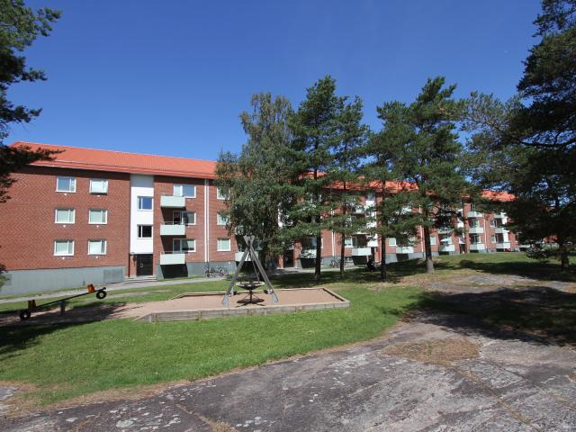 Sädesbingen 50