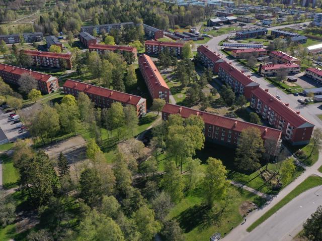 Sädesbingen 30