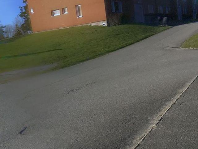 Sädesbingen, Trollhättan