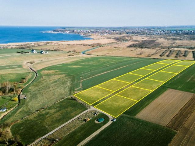 Sadowa 3 000 m², Gnieżdżewo
