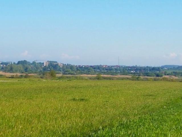 Sadowa 3 000 m², Gnieżdżewo