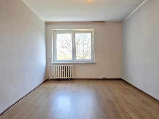 Sadowa 44,50 m², Kamieniec