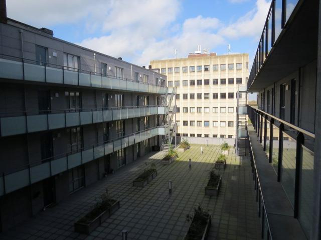 Safariweg 347