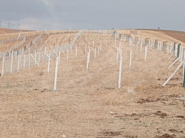 SAFARİDEN AKYURT TEBERİKTE TELLE ÇEVRİLİ 200 M2 HOBİ BAHÇESİ