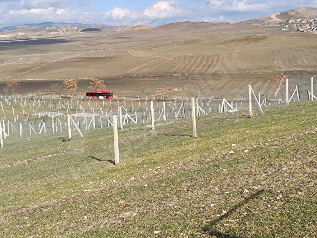 SAFARİDEN GÖLBAŞI KIRIKLIDA 300 M2 BAHÇE ELEKTRİK SU MEVCUT