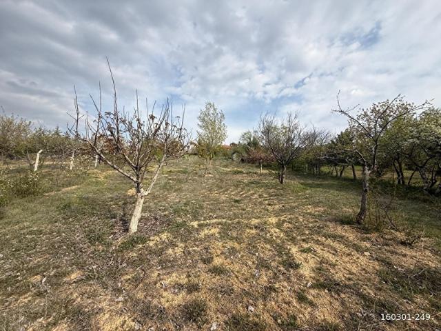 SAFARİDEN TAPULU 1+1 EV DAHİL 60 AĞAÇLI 3080 M2 ARSA ELEKTRİK SU