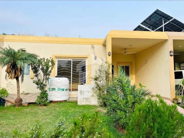 Safari Home Sector F Single Story House