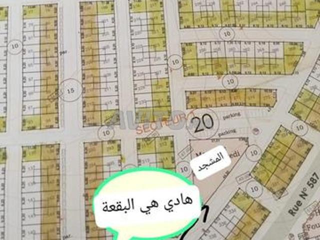 Safi Sebt Kezoula