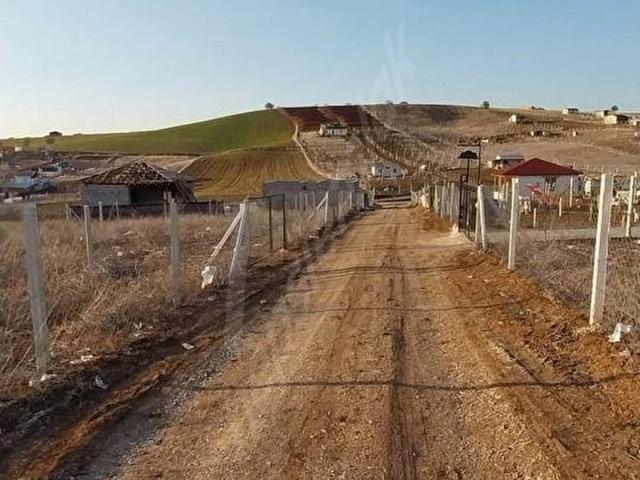 SAFRAN DAN ALTINDAĞ KAVAKLI DA EV YAPILI YAPISIZ TELLE ÇEVRİLİ SEÇENEKLERLE 2+1 2+1 HOBY BAHÇELERİ