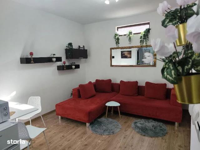 Sagului/Garii, Curte comuna, Pretabil investitie
