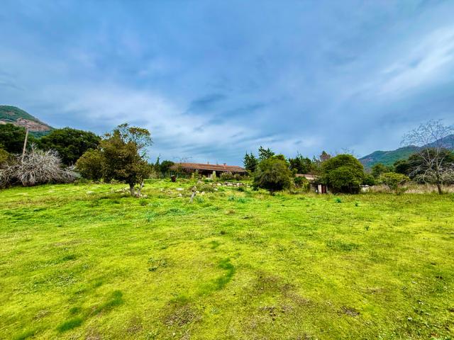 SAGONE Corse: Propriete à vendre, maison T4 + dépendance avec 2 appartements T1, sur terrain plat de 5000m2