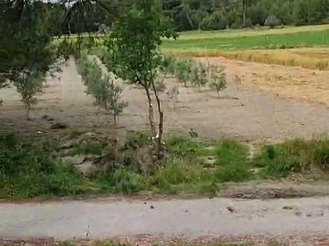SAHİBİNDEN  DOĞA HARİKASI KORUBÜKÜ'NDE YOL SU MEVCUT 5.161M2