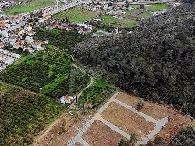 SAHİLE YÜRÜME MESAFEDE PARSELLER