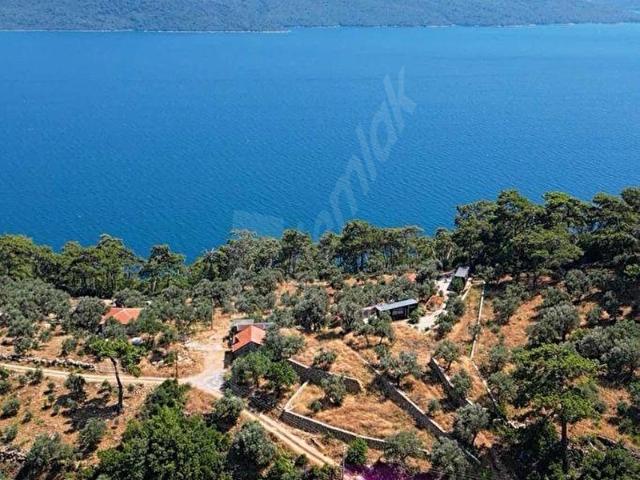 SAHİLE YÜRÜME MESAFESİNDE ELEKTRİK İÇİNDE