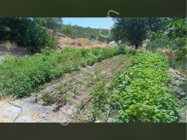 Sahibinden Müstakil Ev 2+1