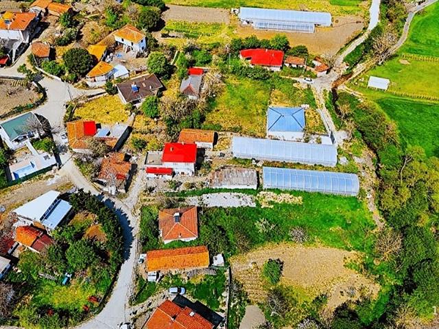 Sahibin'den Çatalca Belgratta Köy Merkezinde Müstakil Tektapu