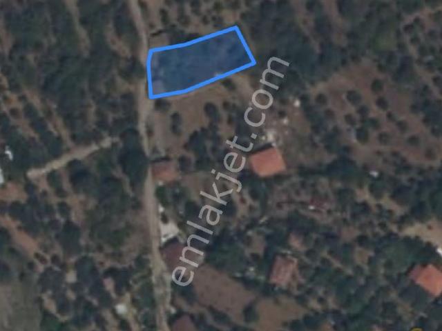 Sahibinden Aydın Karacasu Subaşı Yaylasında 677m2 Yayla Evi