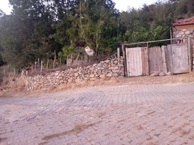 Sahibinden Bergama Çamoba Satılık Müstakil Köy Evi