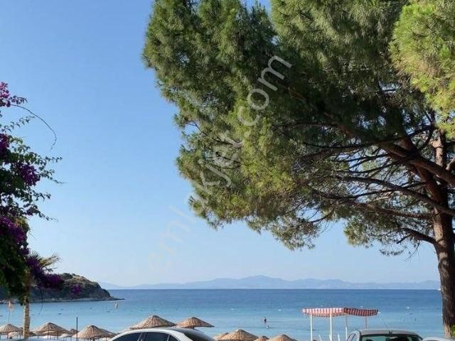 Sahibinden Didim/altınkumda Acil Satılık Dükkan
