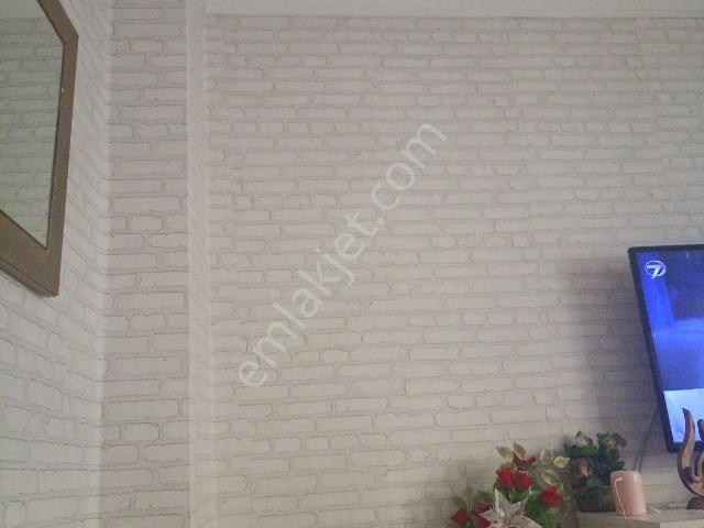 Sahibinden Gemlik Demirsubasisatilik