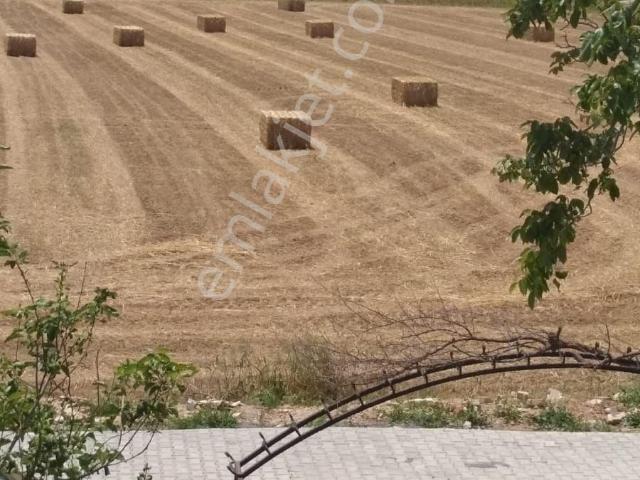 Sahibinden Gökova Da Eşyalı Askeri Per.uygun