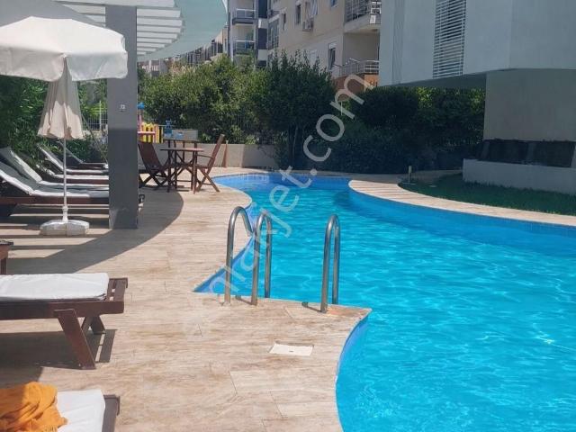 Sahibinden Havuzlu Site İçinde, Geniş Ve Aydınlık 3+1 Aile Dairesi