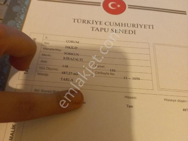 Sahibinden İstanbuldan Tapu İşlemleri Oluyor