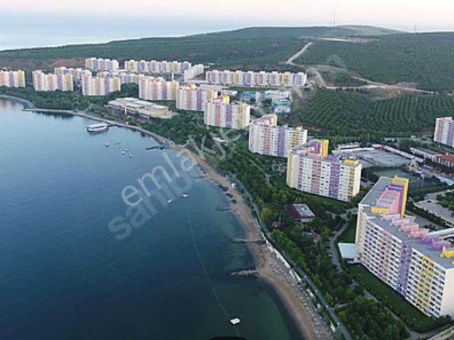 Sahibinden Ihlas Armutlu Bayanlar Plajı Dıbı Ikı Hafta Kıralık
