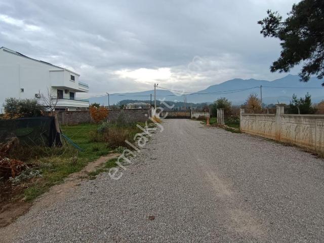 Sahibinden Kemalpaşa Yukarı Kızılcada Satılıık Pazarlı Payımız Vardır