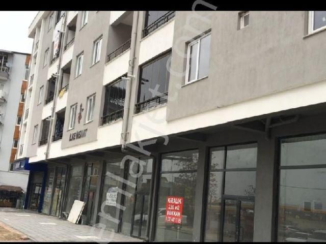 Sahibinden Kiralık 1+1 Esyasız Daire