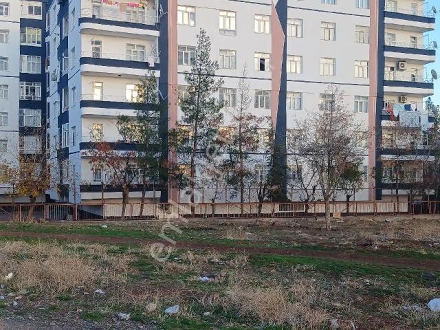 Sahibinden Satılık Daire 3+1