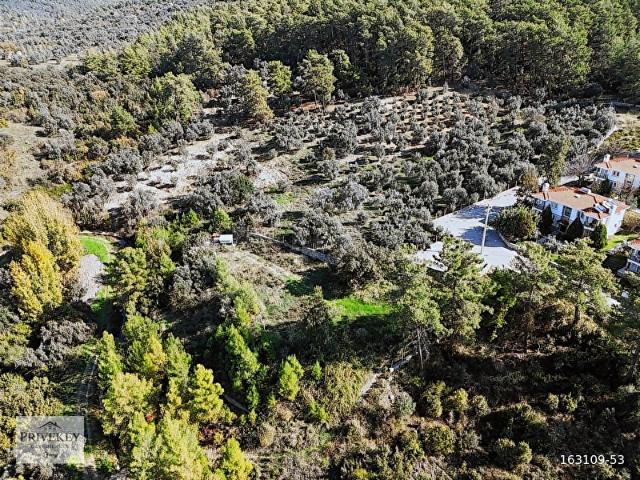Sahil Ceylan da Satılık Doğa Manzaralı Fırsat Tarla