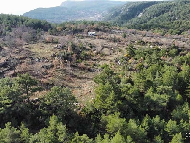 Sahile 20 Dakika Doğa içinde Satılık Arazi