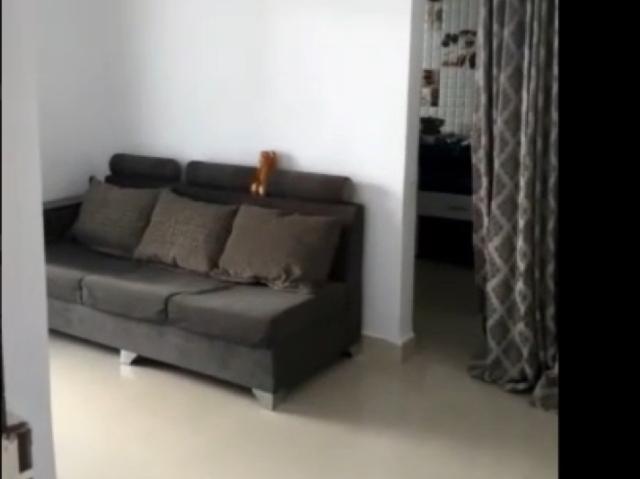 Sai Dishti CHS 2 Bedroom 950 Sq. Ft. Apartment in Ravet Pune Listing ID: #9546