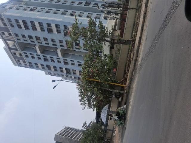 Sai Residency 1 Bedroom 550 Sq. Ft. Apartment in Ulwe Sector 19 Navi Mumbai Listing ID: #10329